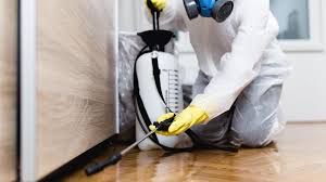 Best Real Estate Pest Inspections  in Mount Hore, WI